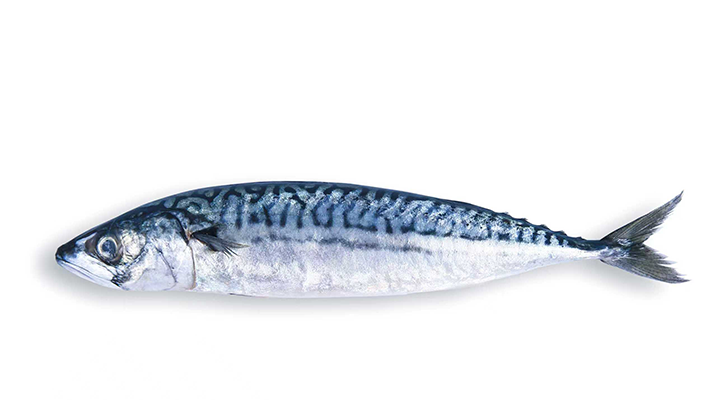 КП-3