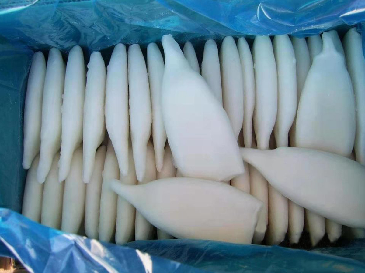 Кальмар Трубка