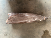 Замороженная скользкая кожа жирной рыбы (Lepidocybium flavobrunneum)